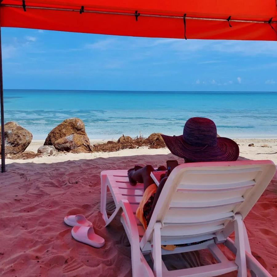 Brig Bay Sunset Bay B&B מראה חיצוני תמונה